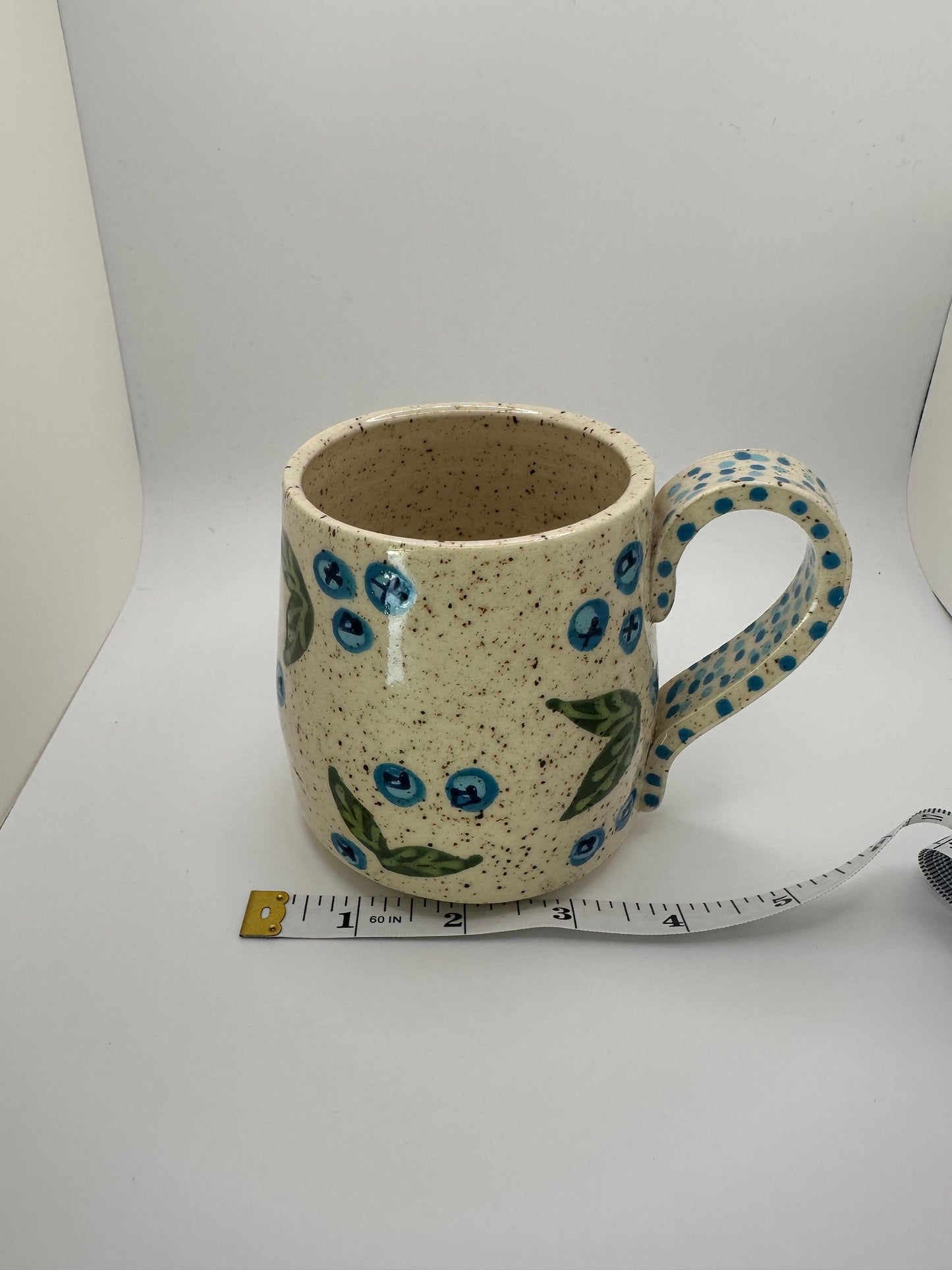 Blueberry Mug 1